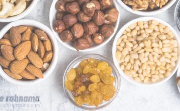 راهنمایی خرید 8 مدل جدید آجیل خوری سرویس و تکی ارزان 1402