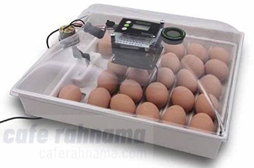 بهترین دستگاه جوجه کشی برای تخم مرغ