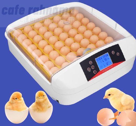 انواع دستگاه جوجه کشی برای تخم مرغ