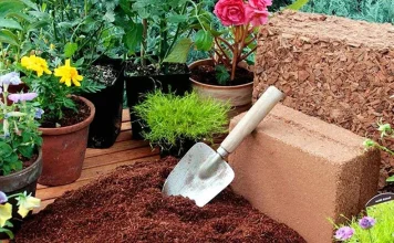 قیمت و خرید 36 مدل کوکوپیت باکیفیت برای تقویت خاک قیمت و خرید کوکوپیت