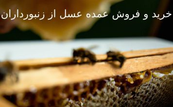 خرید عمده عسل از زنبورداران با قیمت ارزان فروش بدون واسطه خرید و فروش عمده عسل از زنبورداران