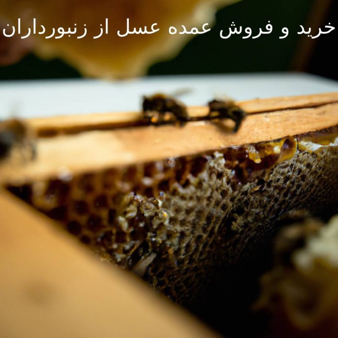 خرید و فروش عمده عسل از زنبورداران